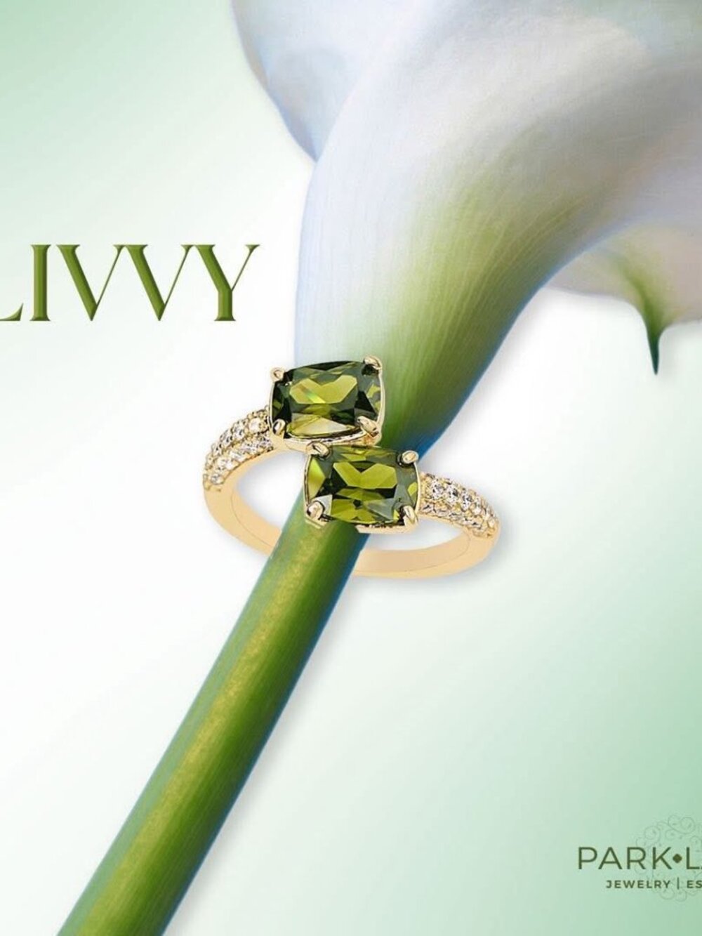 Park Lane Livvy Ring